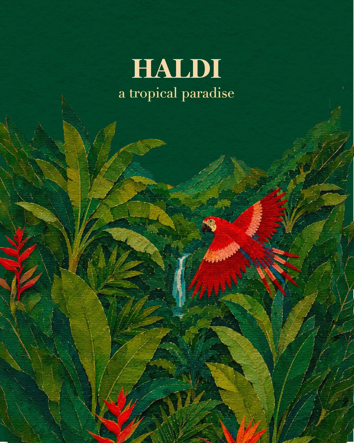 Haldi — a sun-kissed welcome